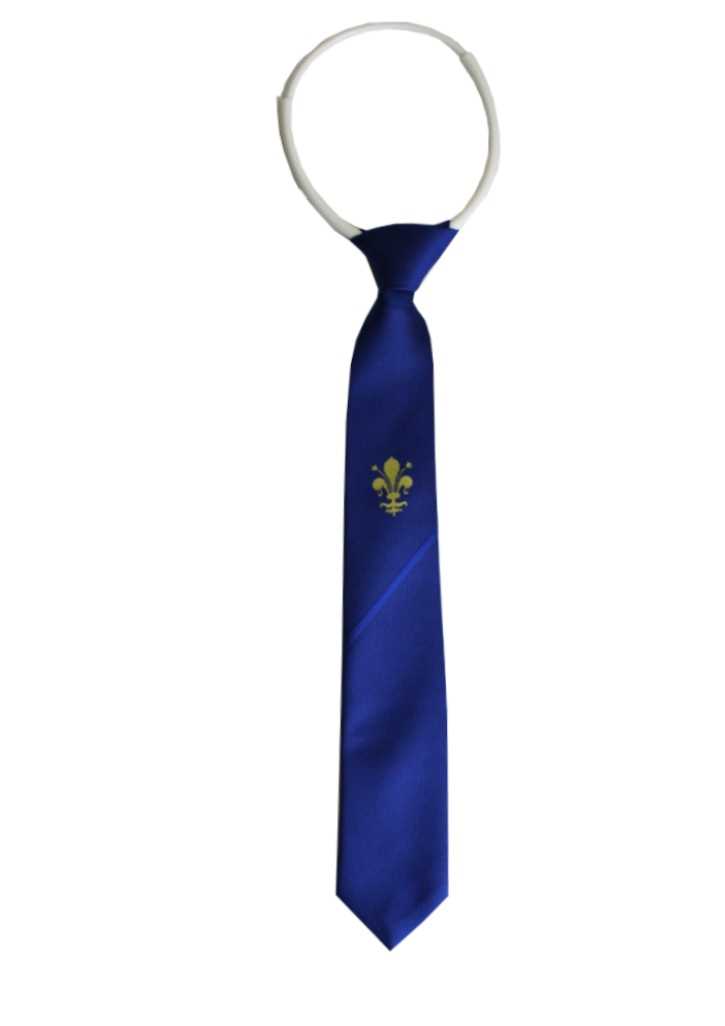 Ficino School Boys Tie Junior Loop Royal Stripe