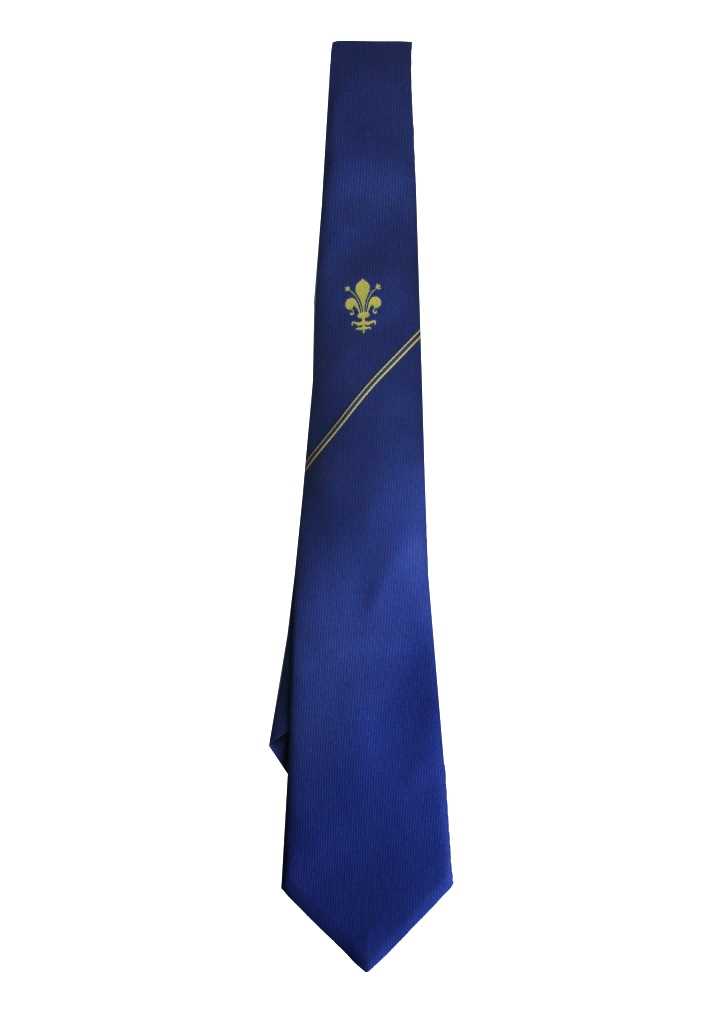 Ficino School Boys Tie Senior