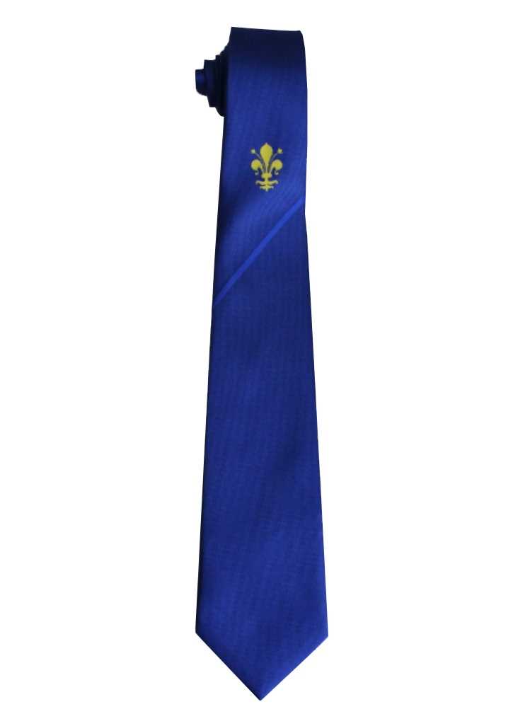 Ficino School Boys Tie Junior Royal Stripe 1SZ